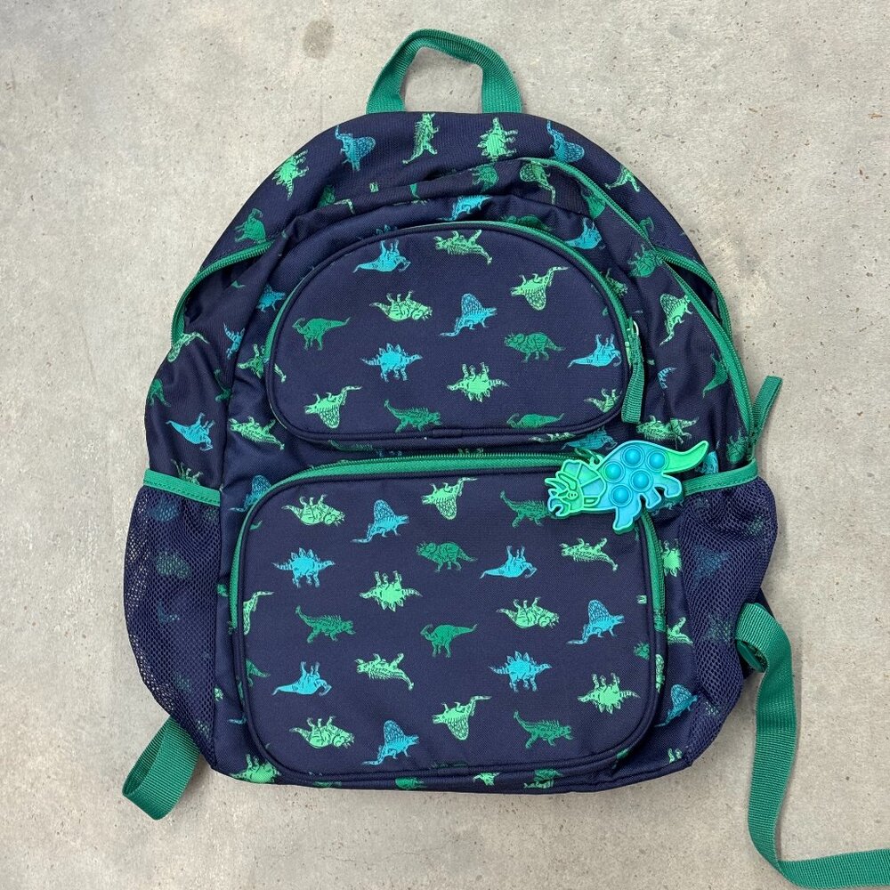 Boys Dinosaur Backpack | Navy & Green | Like New